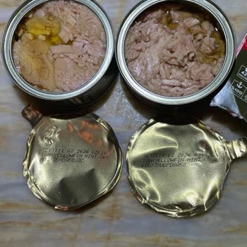 Bozulmuş Ton Balığı Ürünü Endişe Yarattı