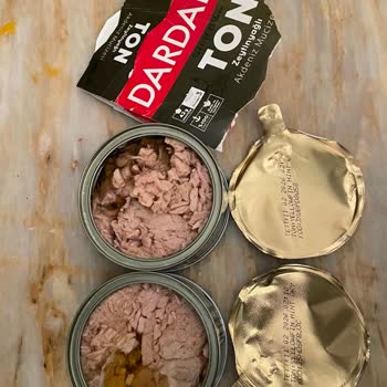 Bozulmuş Ton Balığı Ürünü Endişe Yarattı