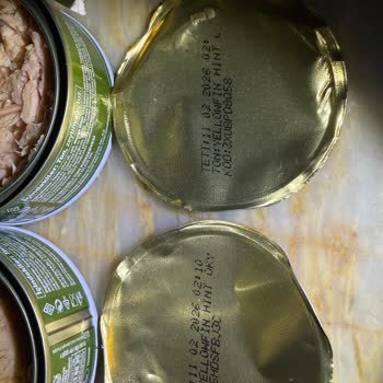 Bozulmuş Ton Balığı Ürünü Endişe Yarattı