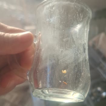 My Bosch Dishwasher Leaves Dishes Dirty Despite Multiple Service Visits