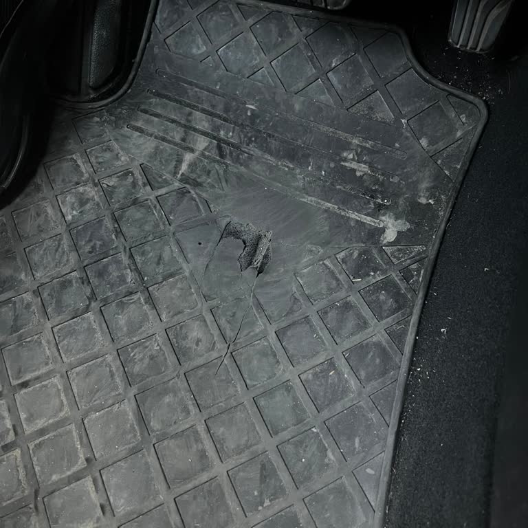 Renault Clio Araçlarda Paspas Dayanıklılığı Sorunu