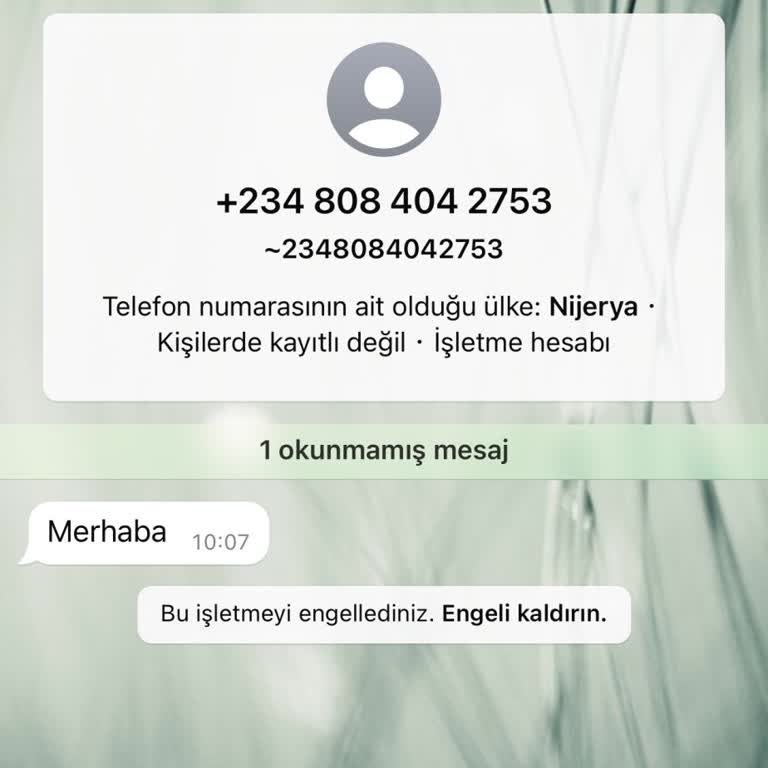 Nijerya'dan Gelen Şüpheli Mesaj Ve Güvenlik Endişesi