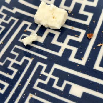 Peynirde Hijyen Sorunu