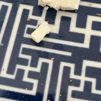 Peynirde Hijyen Sorunu