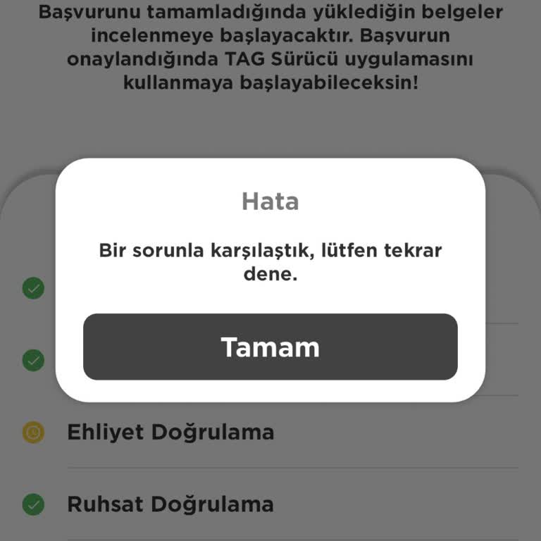 Martı Tag Sürücüsü Olmak İçin Belgelerim Reddediliyor