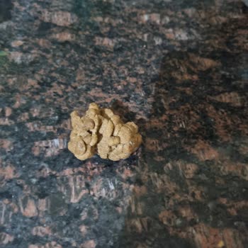 В корме для кошек Royal Canin 15кг найден посторонний предмет