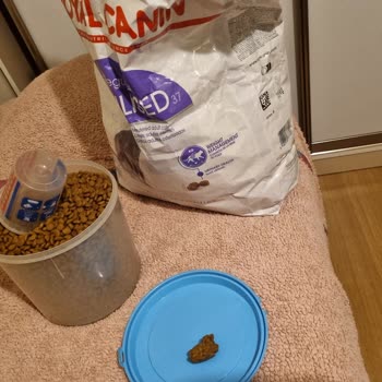 В корме для кошек Royal Canin 15кг найден посторонний предмет