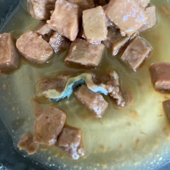 Purina Friskies: Влажный корм с испорченным лососем