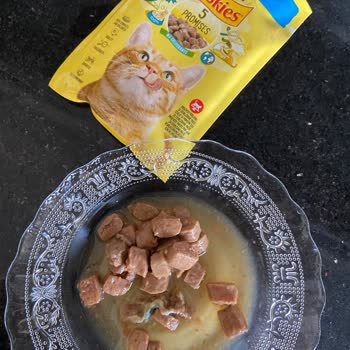 Purina Friskies: Влажный корм с испорченным лососем