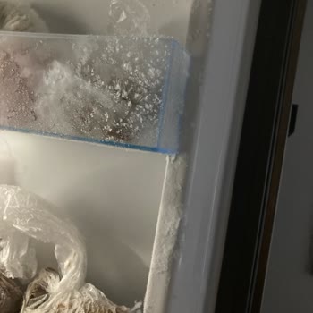 Bosch Beyaz Eşyalarımda Sürekli Sorunlar Yaşıyorum!