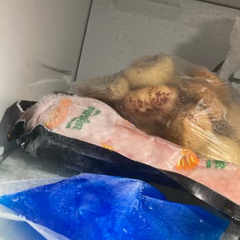 Bosch Beyaz Eşyalarımda Sürekli Sorunlar Yaşıyorum!