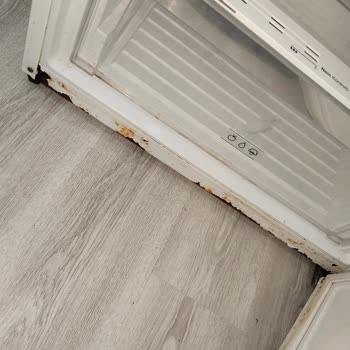 Vestel Beyaz Eşya Hayal Kırıklığı