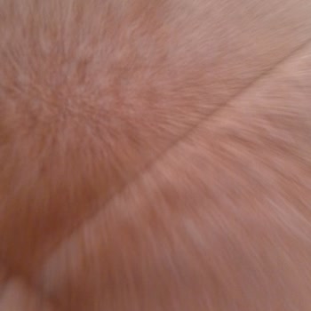 Hakmar'dan Aldığım Üründe Tehlikeli Madde!