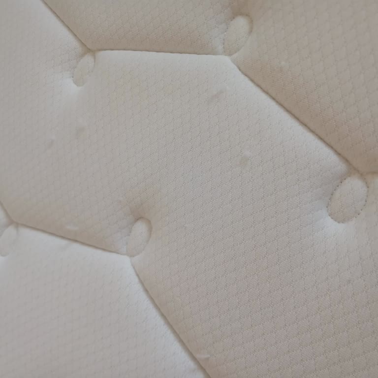 Yatakta Çökme Ve Mağaza İlgisizliği