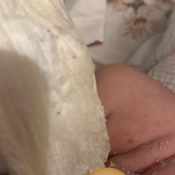 Sleepy Organik Külot Bez Hayal Kırıklığı
