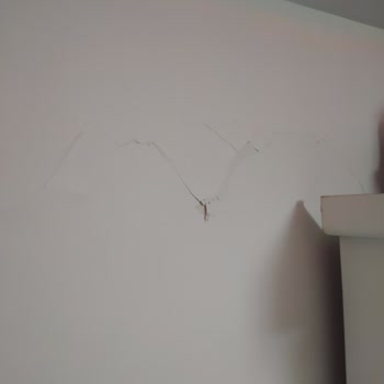 DASK Hasar Tespitinde Gerçek Maliyet Sorunu