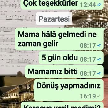 Kedi Maması Siparişim Gelmedi Ve Param Çöpe Gitti!