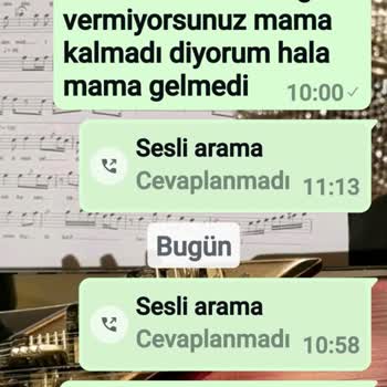 Kedi Maması Siparişim Gelmedi Ve Param Çöpe Gitti!