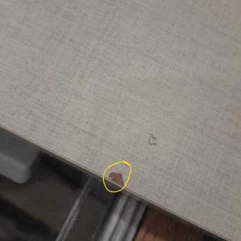 Bellona'dan Gelen Kusurlu Ürün Ve Kötü Hizmet