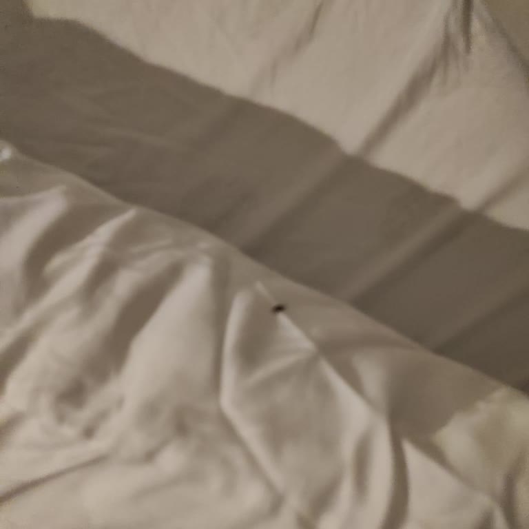 Airbnb Stay at Kadıköy New Royal Suites Ruined by Hygiene Issues and Poor Service