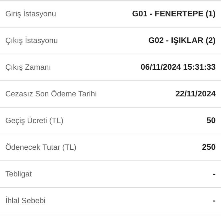 HGS Otomatik Ödeme Sorunu Ve Cezalar