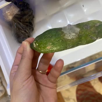 Beko Buzdolabı Hayal Kırıklığı: Yeni Alınan Ürün 4 Ayda Bozuldu!