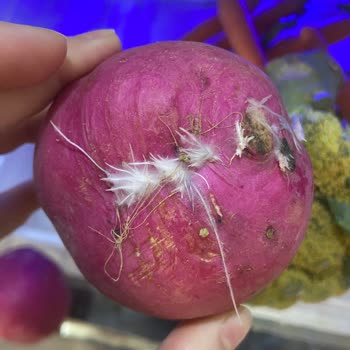 Beko Buzdolabı Hayal Kırıklığı: Yeni Alınan Ürün 4 Ayda Bozuldu!