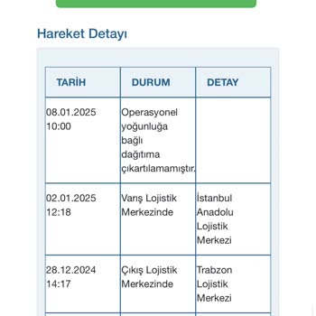 Teslim Edilmeyen Ankastre Fırın: Borusan Lojistik Sorunu