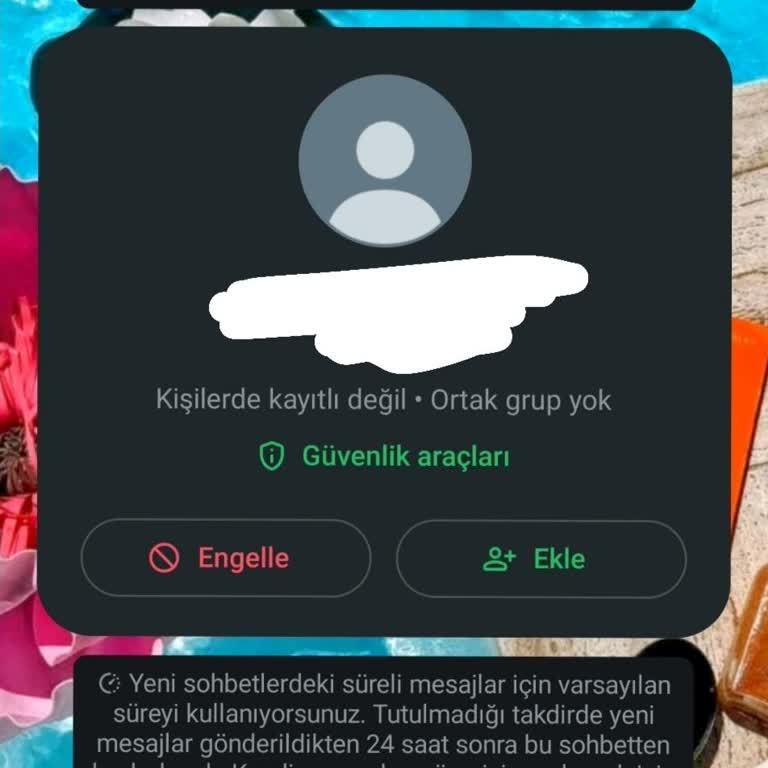 Öğrenci Mesajlarıyla Gizlilik İhlali