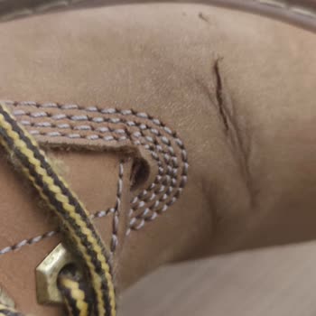 Caterpillar Botunda Yırtılma Ve Müşteri Hizmetleri Sorunu