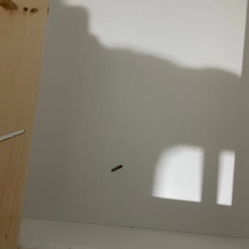 Mobilya Kalitesi Ve Müşteri Hizmetleri Sorunu