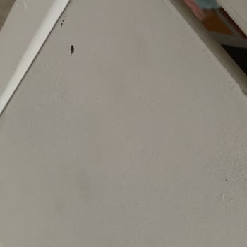 Mobilya Kalitesi Ve Müşteri Hizmetleri Sorunu