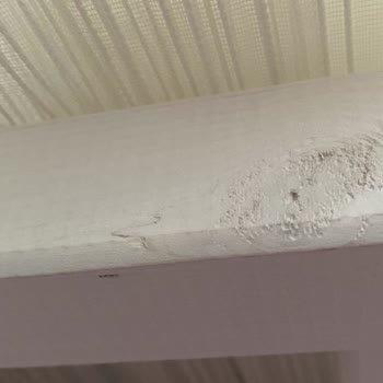 Mobilya Kalitesi Ve Müşteri Hizmetleri Sorunu