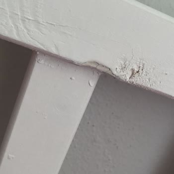 Mobilya Kalitesi Ve Müşteri Hizmetleri Sorunu