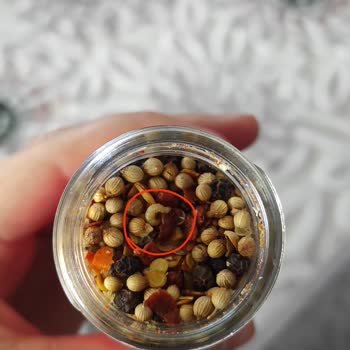 Kahvaltılık Baharat İçinde Canlı Kurtlar Şoku