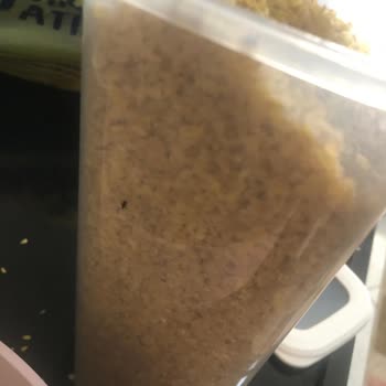 Bulgurda Böcek Şoku