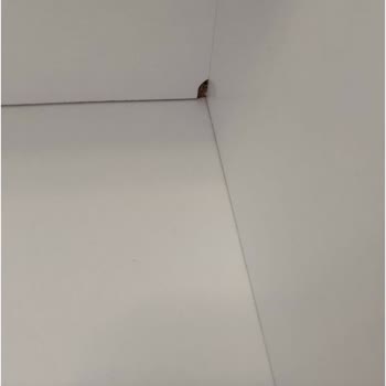 Çilek Mobilya İle Bitmeyen Sorunlar: 9 Aylık Çile