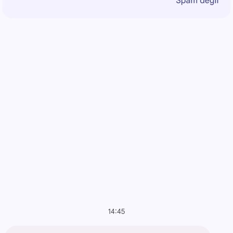Sahte Web Sitesi Dolandırıcılığı Belirsiz Mesaj