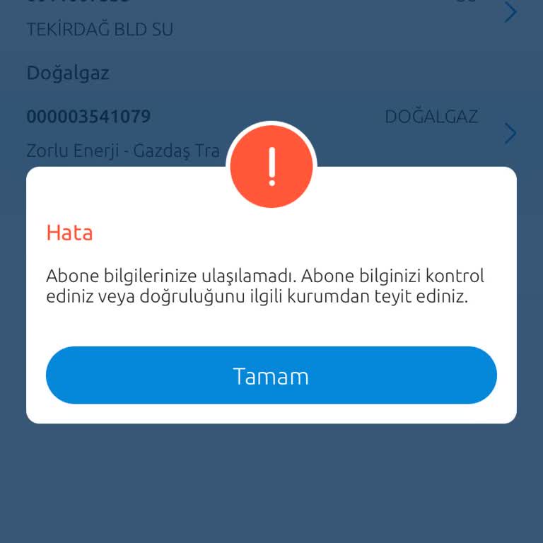 Doğalgaz Faturası Ödeme Sorunu Ve Abonelik Karmaşası