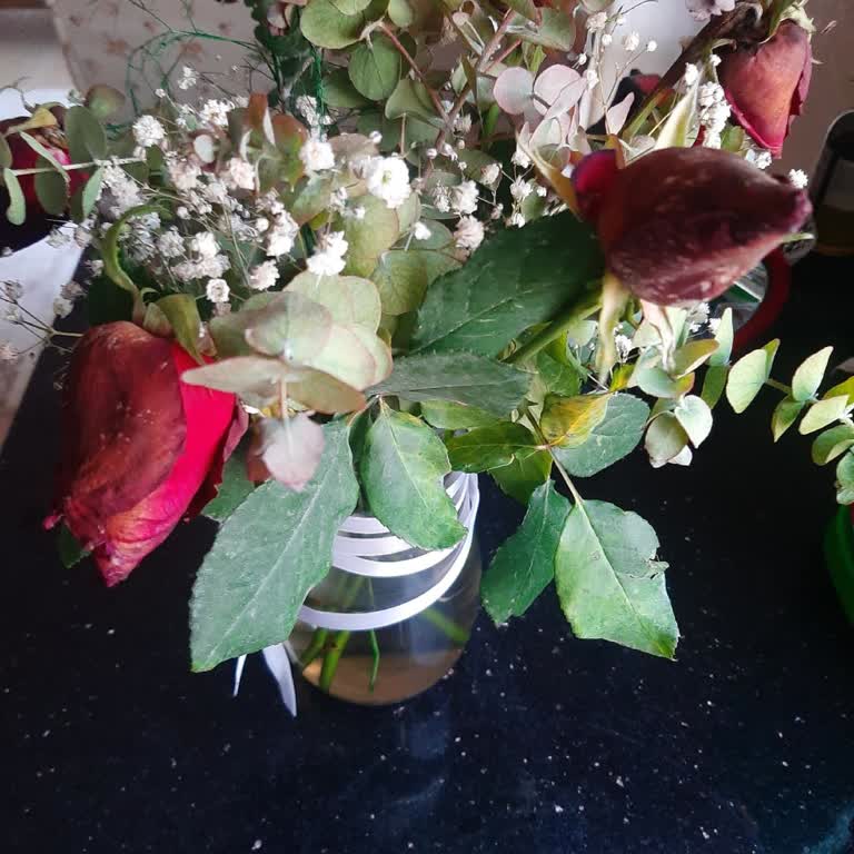 Solmuş Güller Ve İlgisiz Hizmet