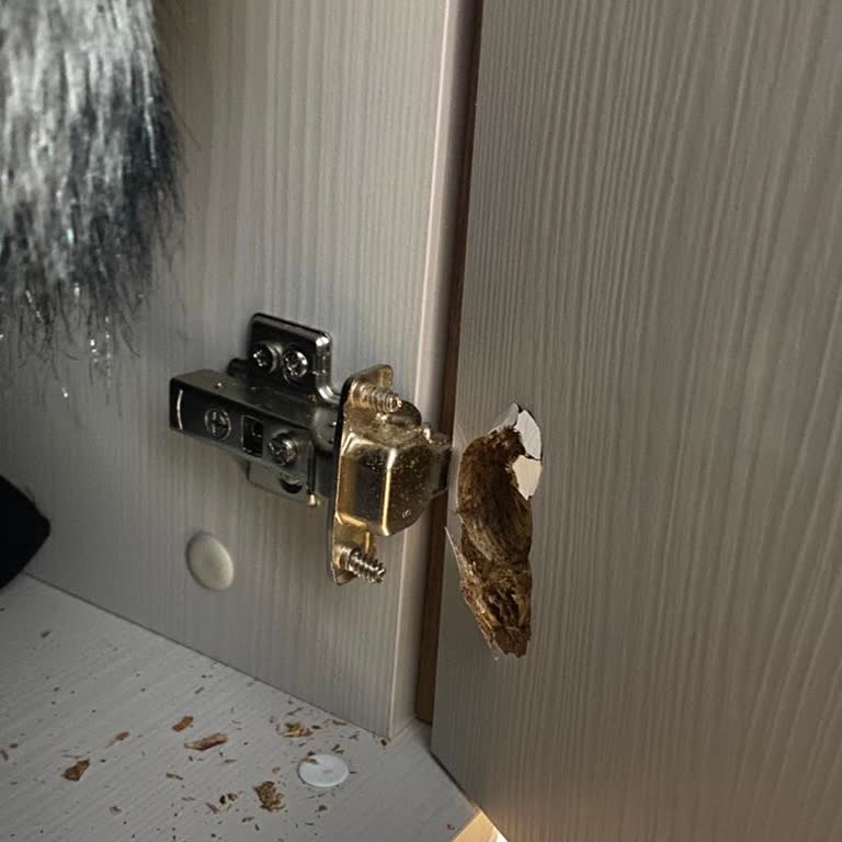 Yataş Dolap Servis Sorunları Ve Kalitesiz Ürün Malzemeleri