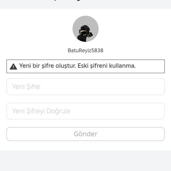 Hesap Erişim Sorunu Ve Şifre Sıfırlama Problemi