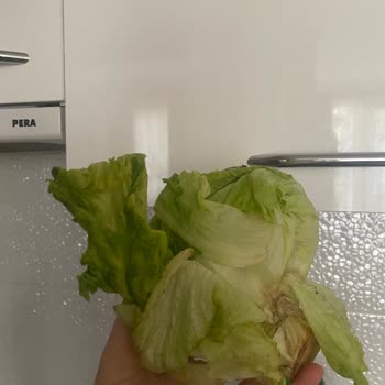 Solmuş Sebzelerle Misafirler Aç Kaldı