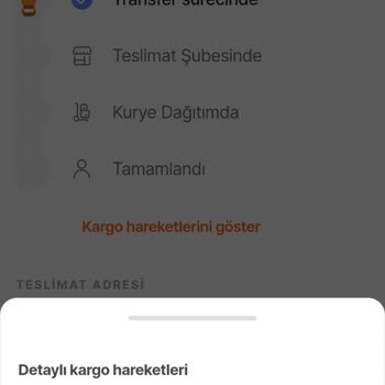 PTT Kargo'da Kaybolan Kargo Ve Ciddiyetsiz Çalışan Sorunu