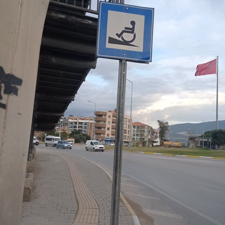 Milas-Bodrum Dolmuş Sorunu: Yetersiz Seferler Ve Küçük Araçlar