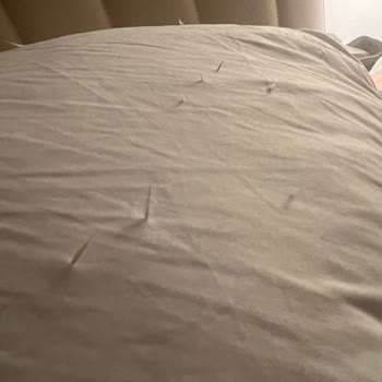 Tehlikeli Ve Rahatsız Edici Yastık Deneyimi