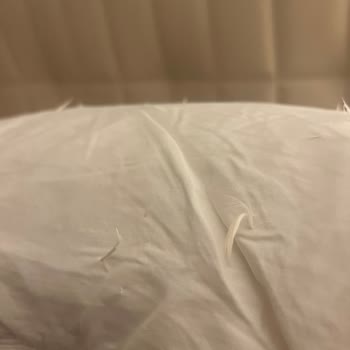 Tehlikeli Ve Rahatsız Edici Yastık Deneyimi