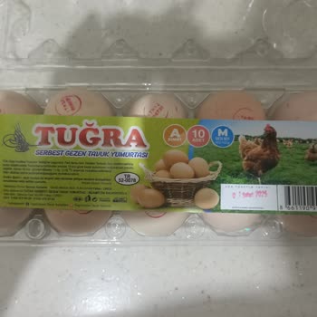 Fiskomar Yanıltıcı Yumurtalama Ağırlığı