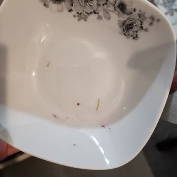 Beko Yeni Bulaşık Makinesi Hayal Kırıklığı