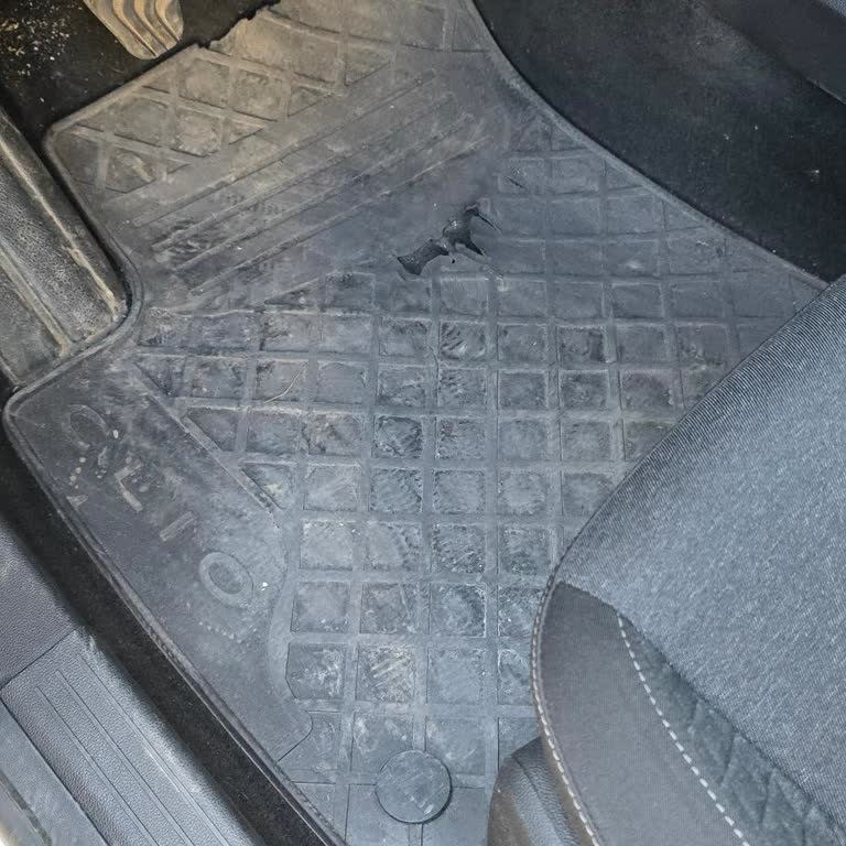 Renault Clio Paspas Talebi Reddedildi